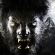 Illustration for article titled Universal may remake The Wolfman, again